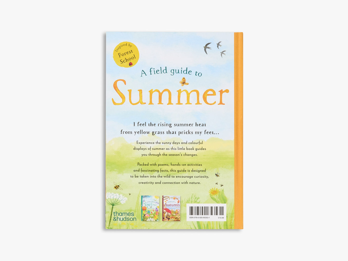 A Field Guide to Summer (Field Guide series)
