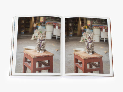 'Cats of' Set