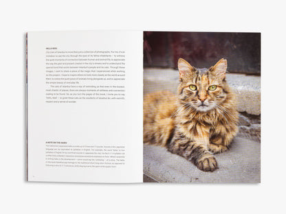 'Cats of' Set
