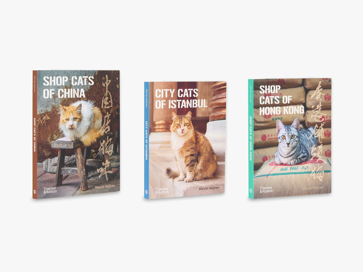 'Cats of' Set