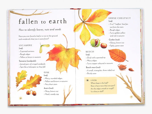 A Field Guide to Autumn (Field Guide series)