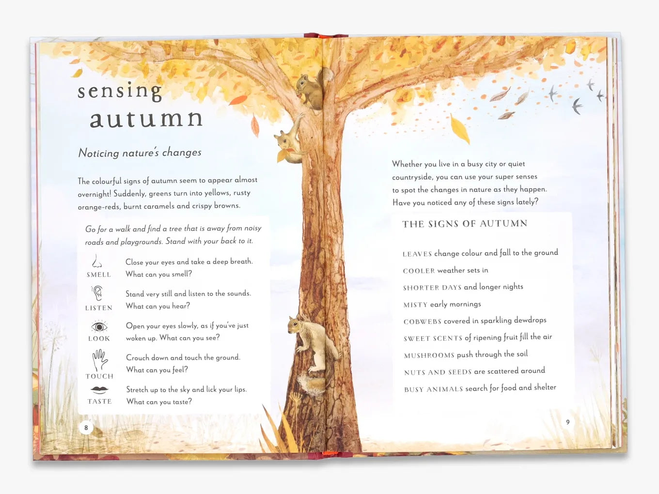 A Field Guide to Autumn (Field Guide series)