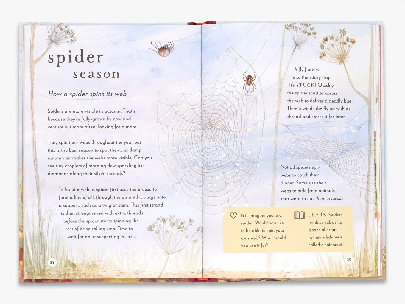 A Field Guide to Autumn (Field Guide series)