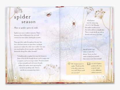 A Field Guide to Autumn (Field Guide series)