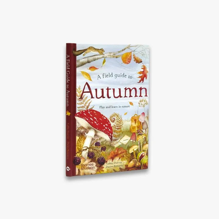 A Field Guide to Autumn (Field Guide series)