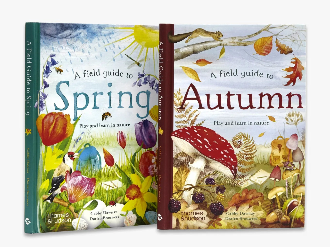 A Field Guide to Autumn (Field Guide series)