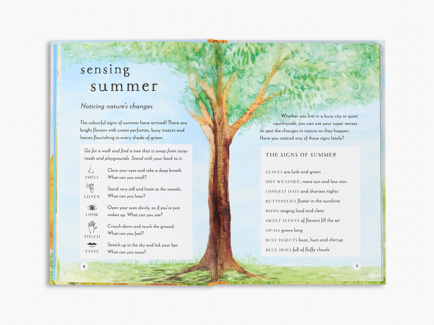 A Field Guide to Summer (Field Guide series)