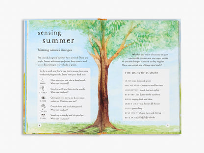 A Field Guide to Summer (Field Guide series)