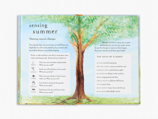 A Field Guide to Summer (Field Guide series)