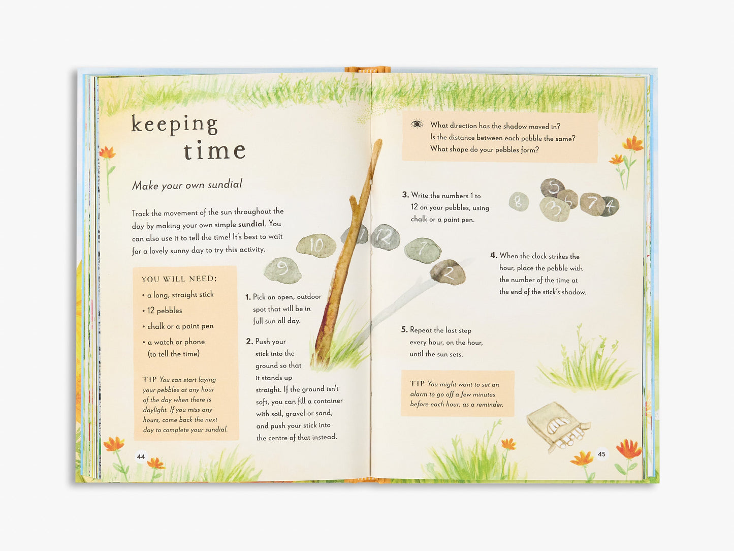 A Field Guide to Summer (Field Guide series)