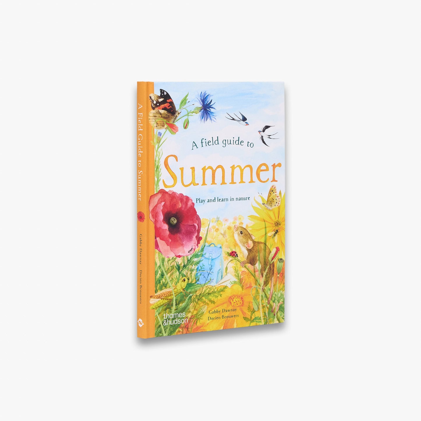A Field Guide to Summer (Field Guide series)