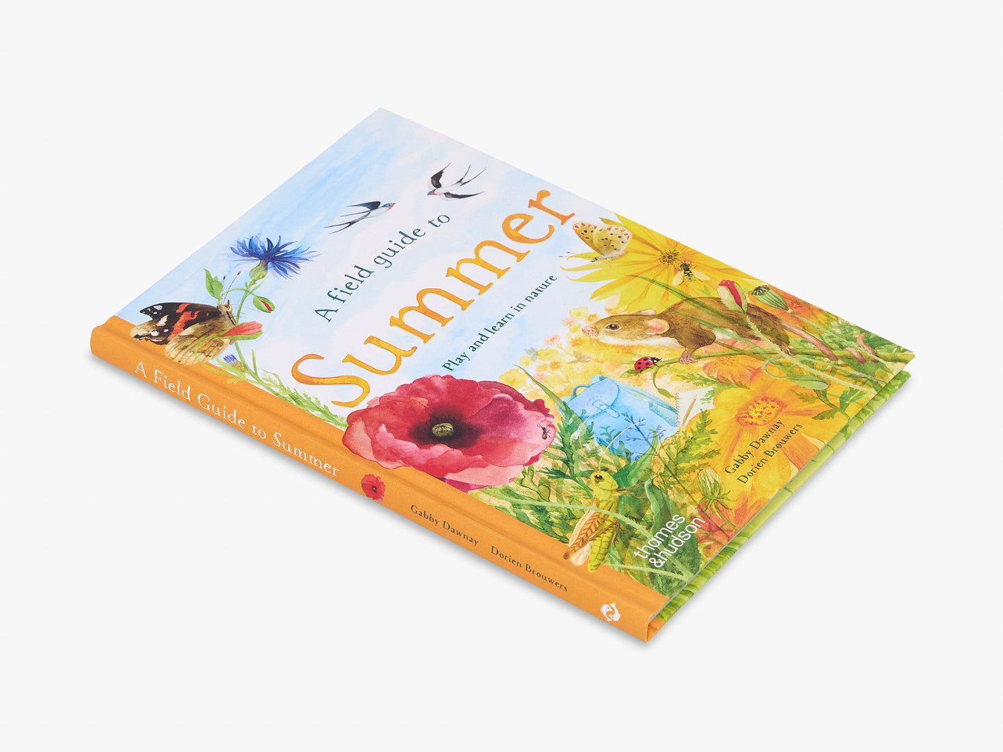 A Field Guide to Summer (Field Guide series)